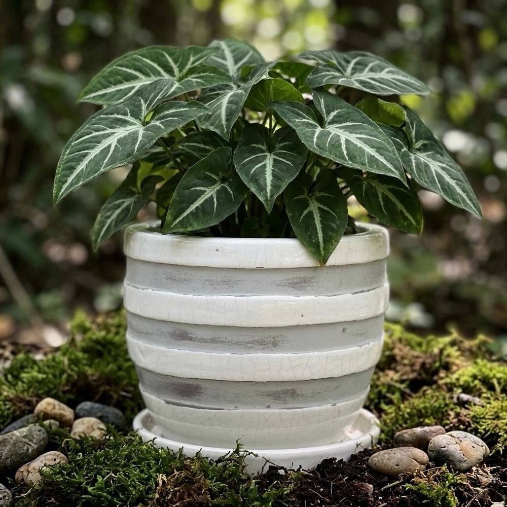 White and Grey Striped Barrel Planter with Attached Saucer - 6 Inch Ceramic